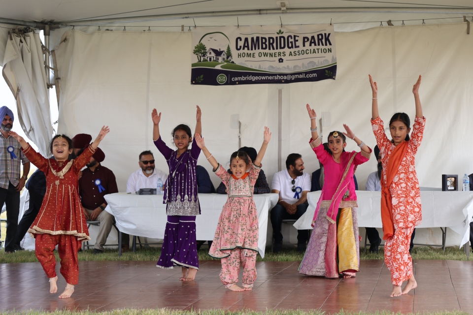 Cambridge Park Summer Fest cultural performances.